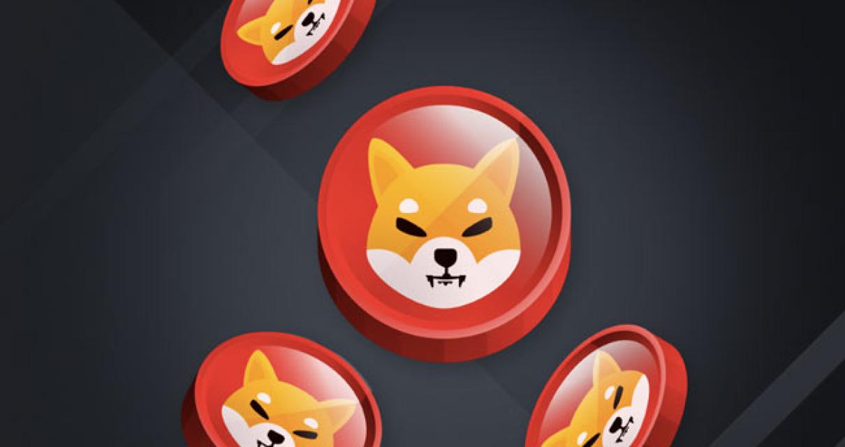 What Is The Purpose Of Shiba I