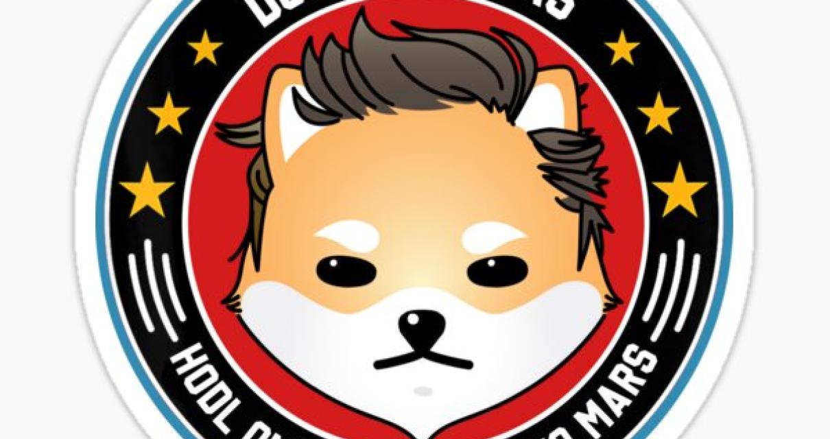 What is Dogelon Mars and how w