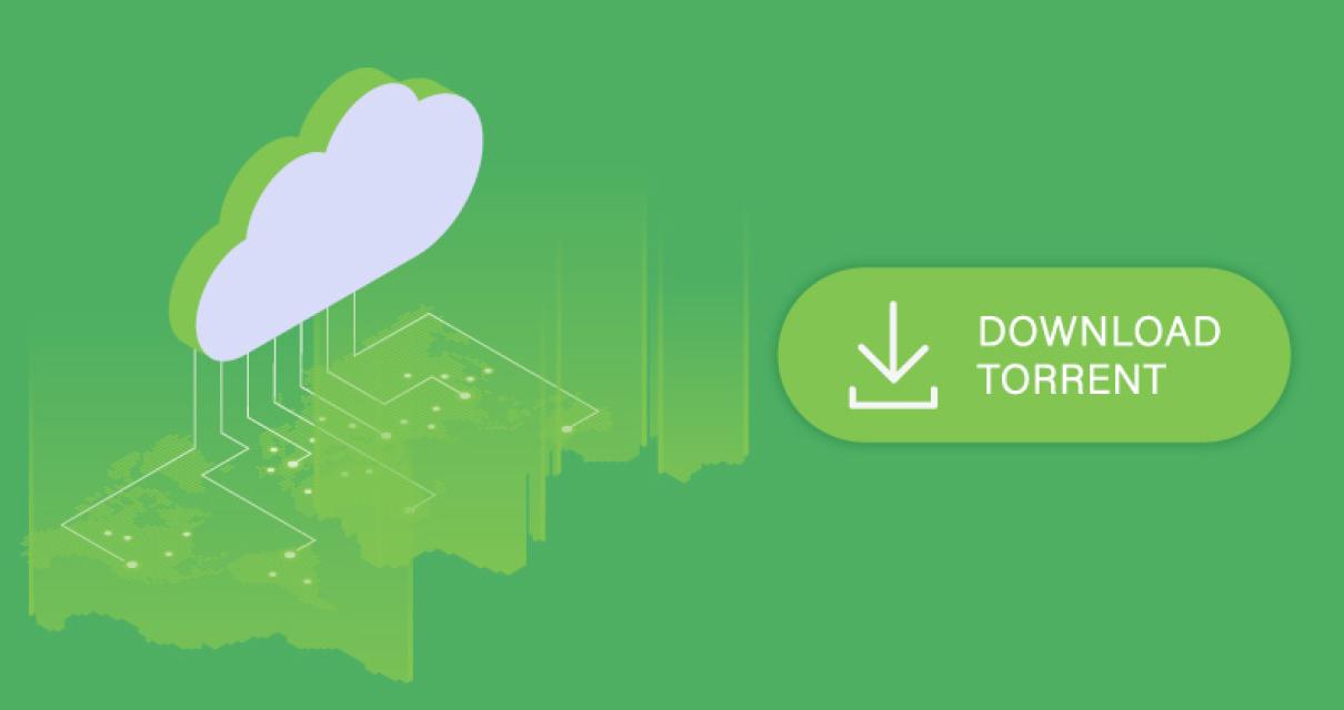 The Best of Crypto Crew Univer