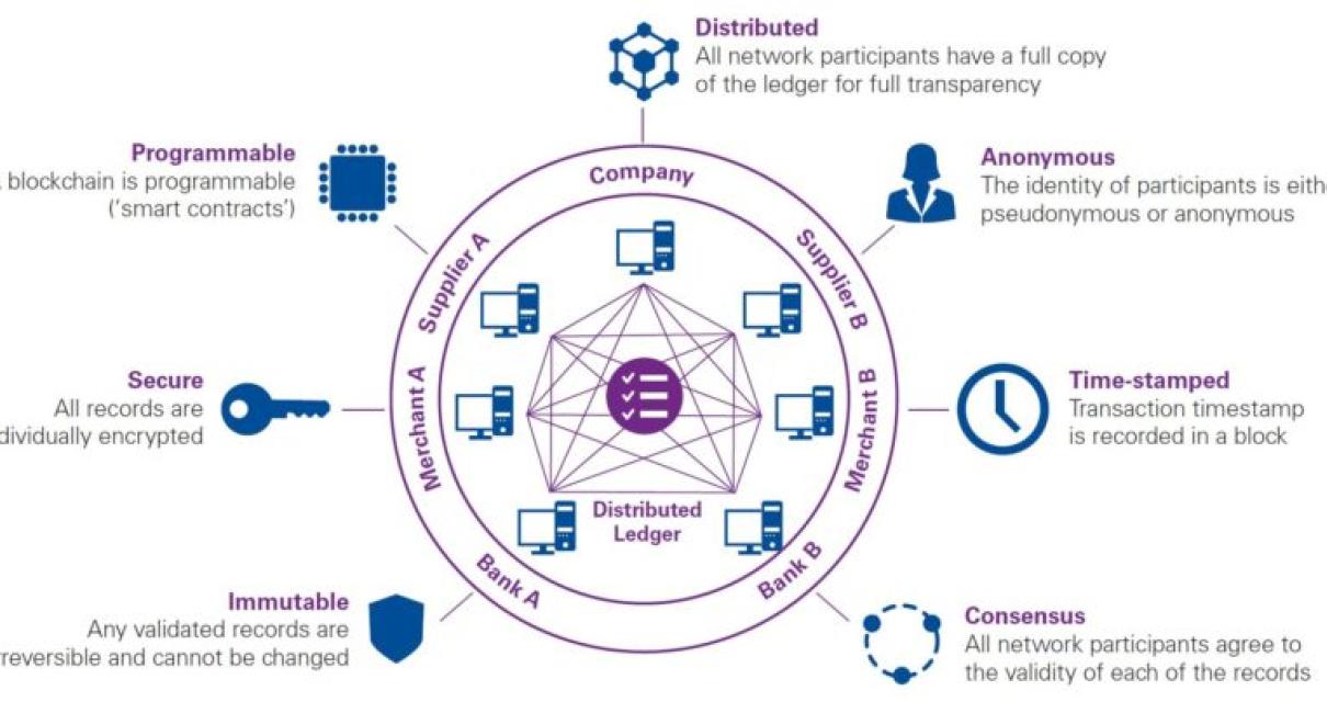 The Risks of Blockchain in Ins