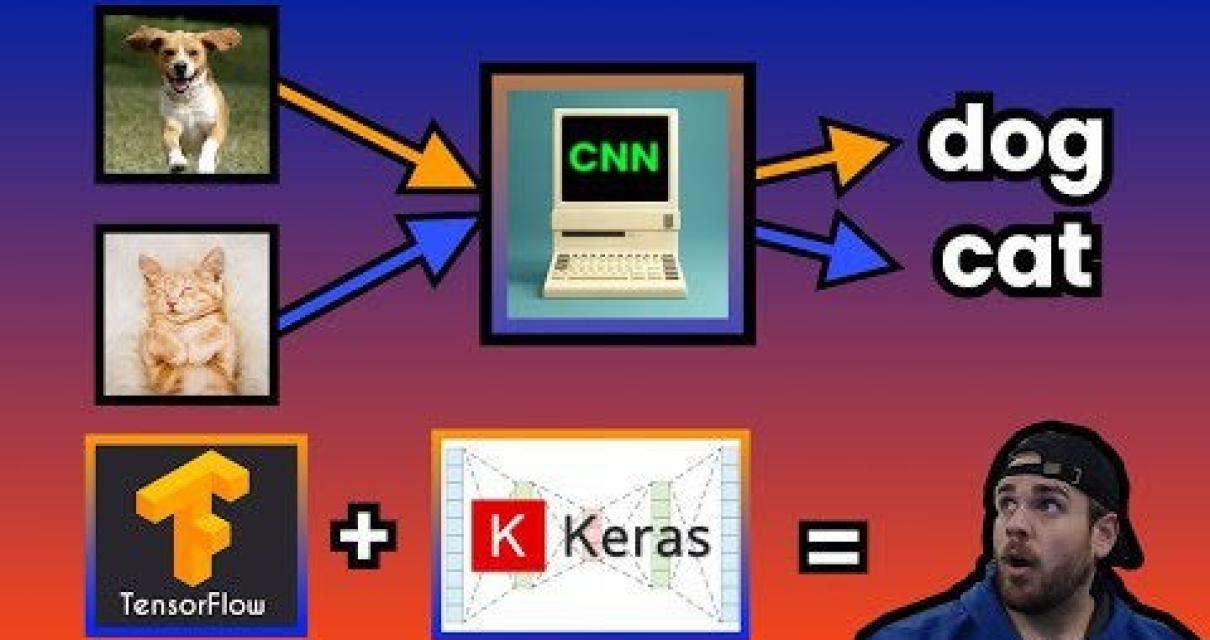 The University of Florida's Cr