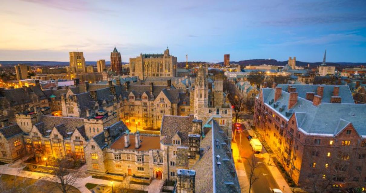 Yale's New Crypto Fund
The Yal