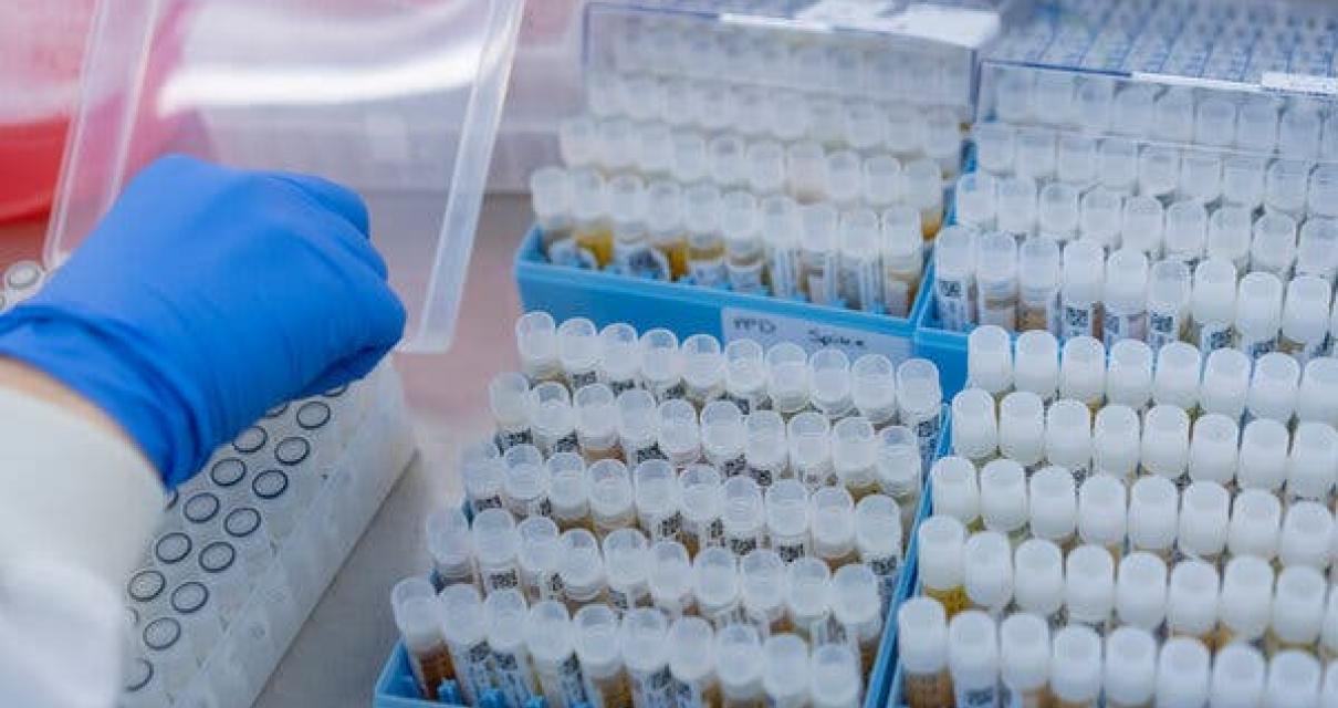 What the University of Florida