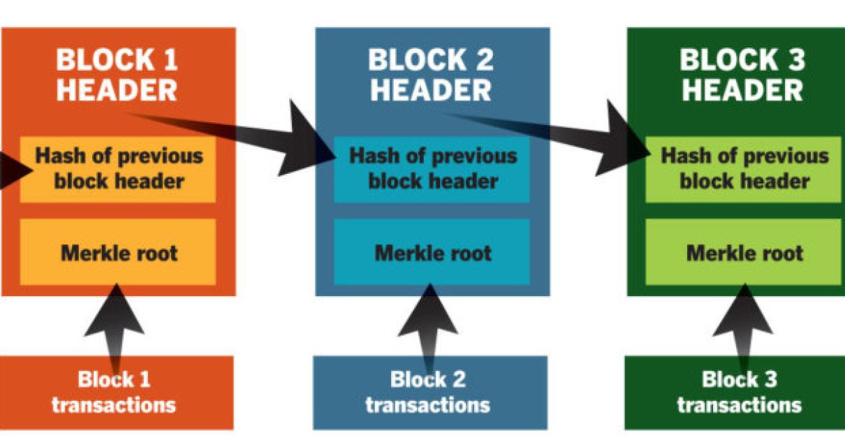 A Beginner's Guide to Understa