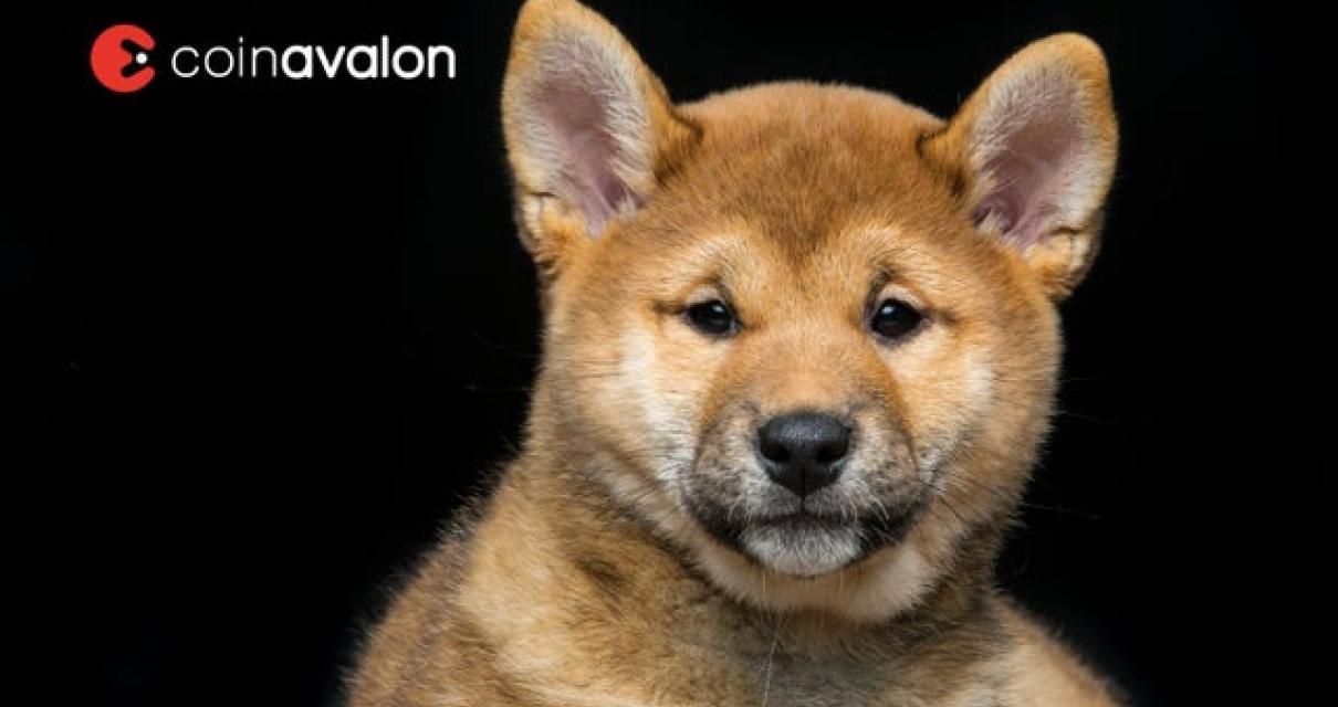 The Potential of Shibarium Blo