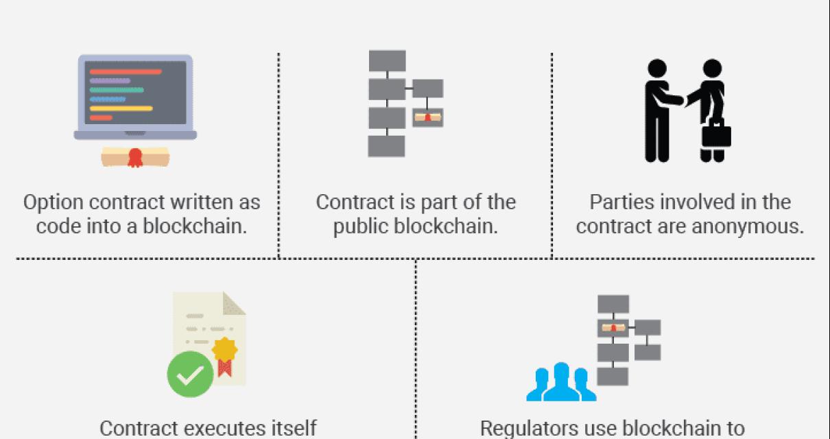 The Risks of Smart Contracts i